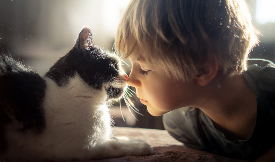 Magical Children photography by Iwona Podlasińska | Warsztaty dla fotografów dziecięcych